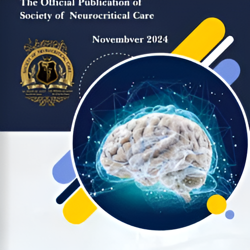 Axone Nov 2024